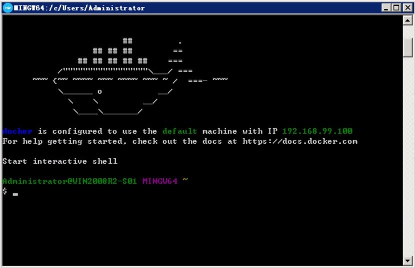 Docker启动成功画面